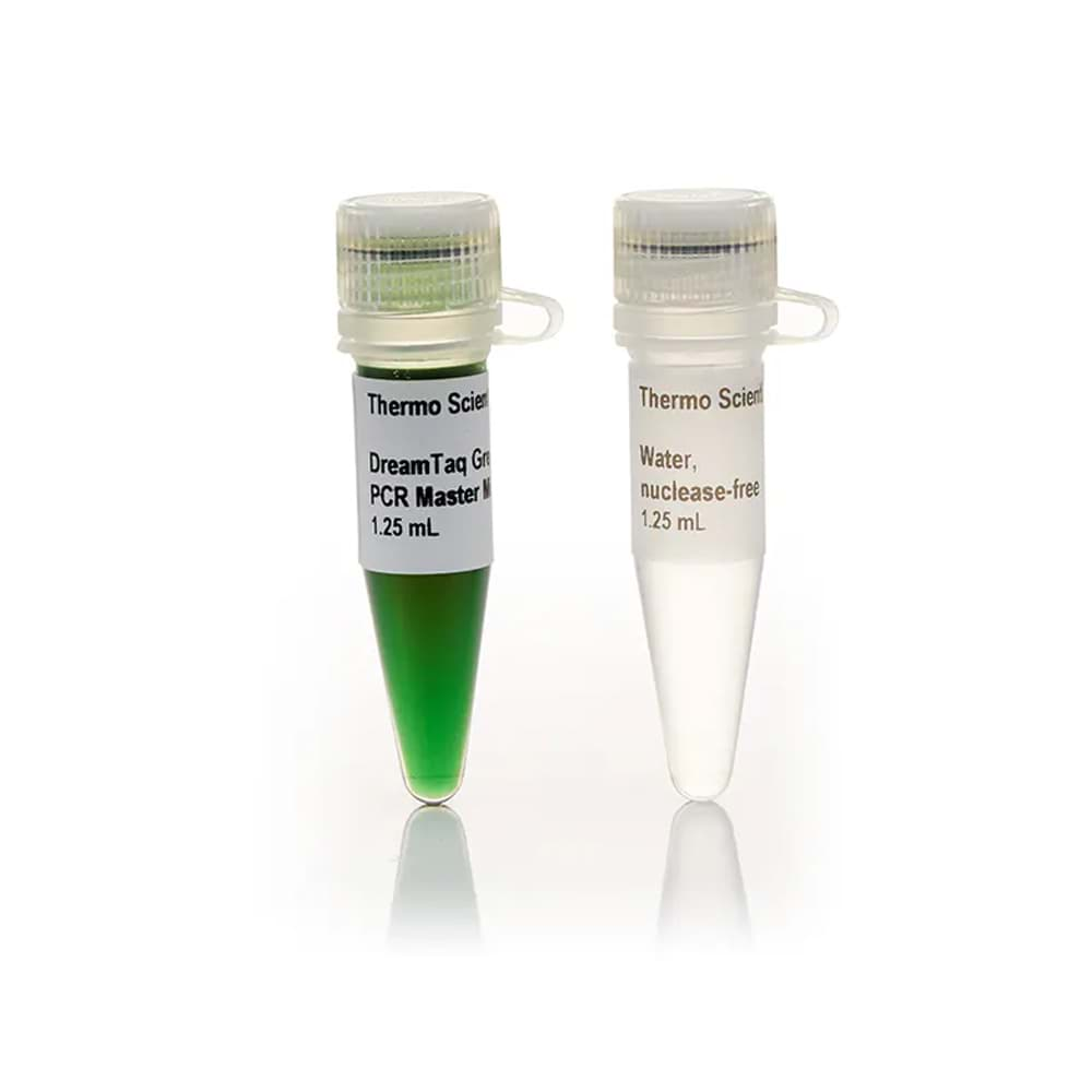 Picture for category Nucleotide Synthesis